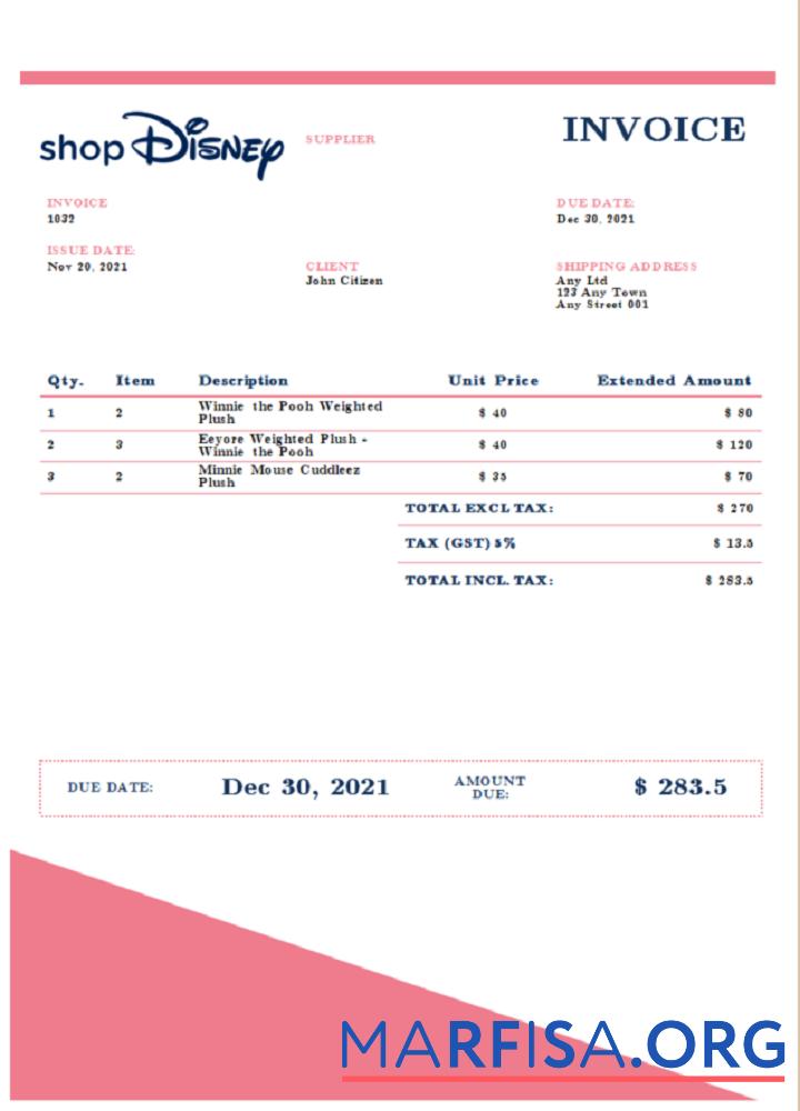 Blank USA Disney invoice real example